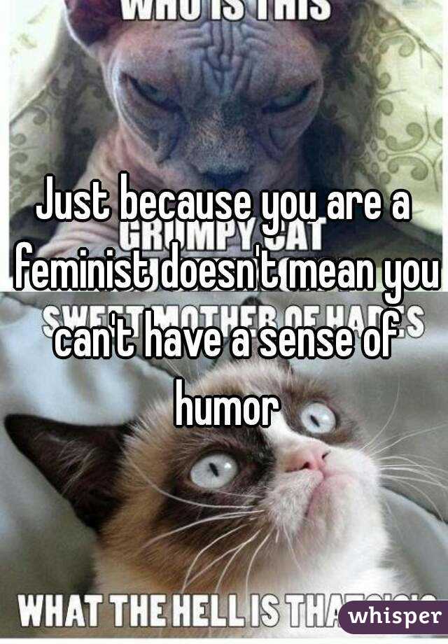 Just because you are a feminist doesn't mean you can't have a sense of humor