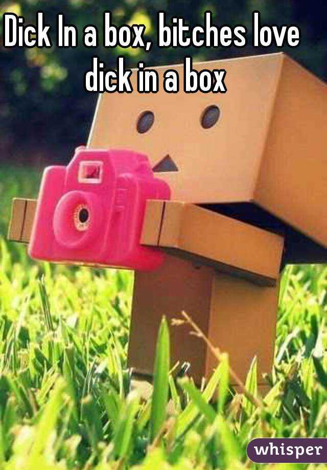 Dick In a box, bitches love dick in a box