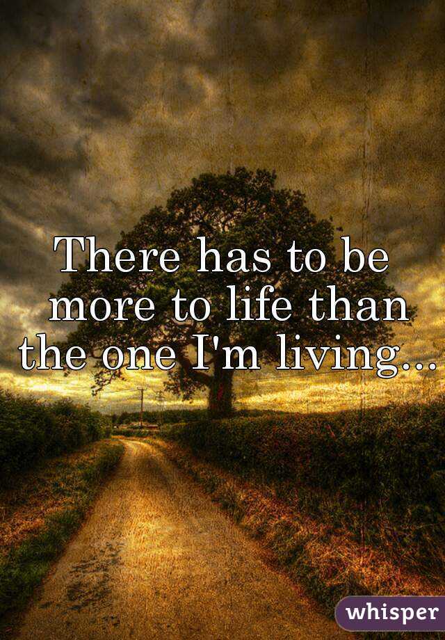 There has to be more to life than the one I'm living...