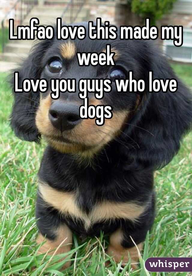 Lmfao love this made my week 
Love you guys who love dogs 