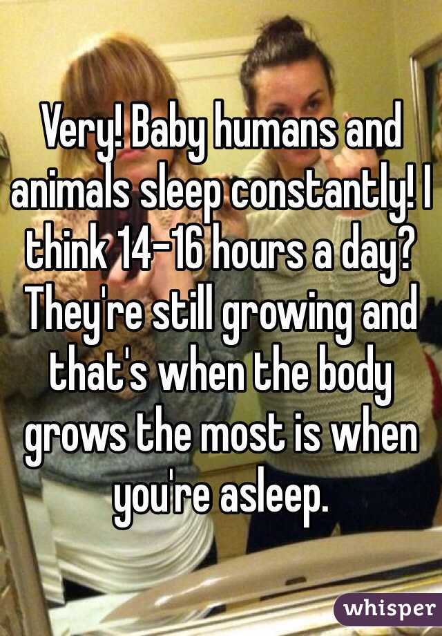 Very! Baby humans and animals sleep constantly! I think 14-16 hours a day? They're still growing and that's when the body grows the most is when you're asleep. 