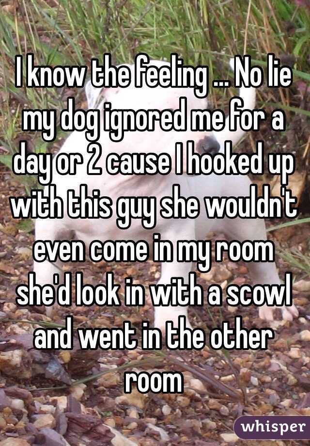 I know the feeling ... No lie my dog ignored me for a day or 2 cause I hooked up with this guy she wouldn't even come in my room she'd look in with a scowl and went in the other room 