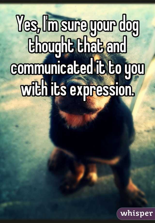 Yes, I'm sure your dog thought that and communicated it to you with its expression.