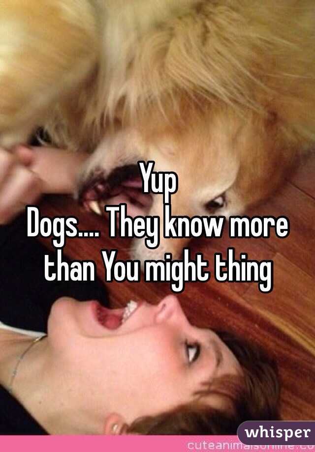 Yup
Dogs.... They know more than You might thing