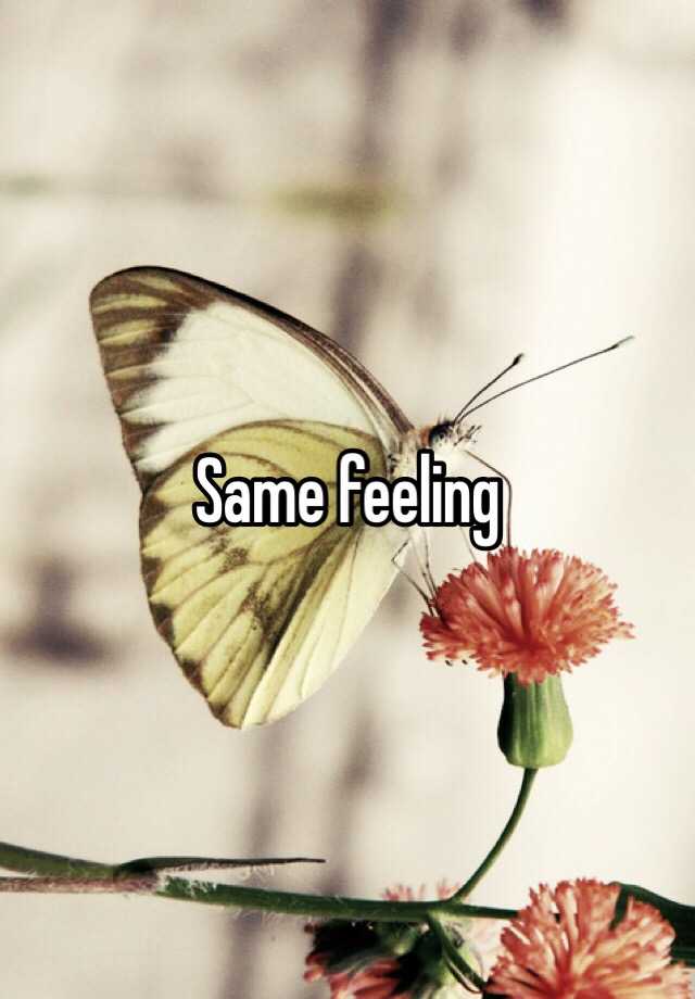 same-feeling