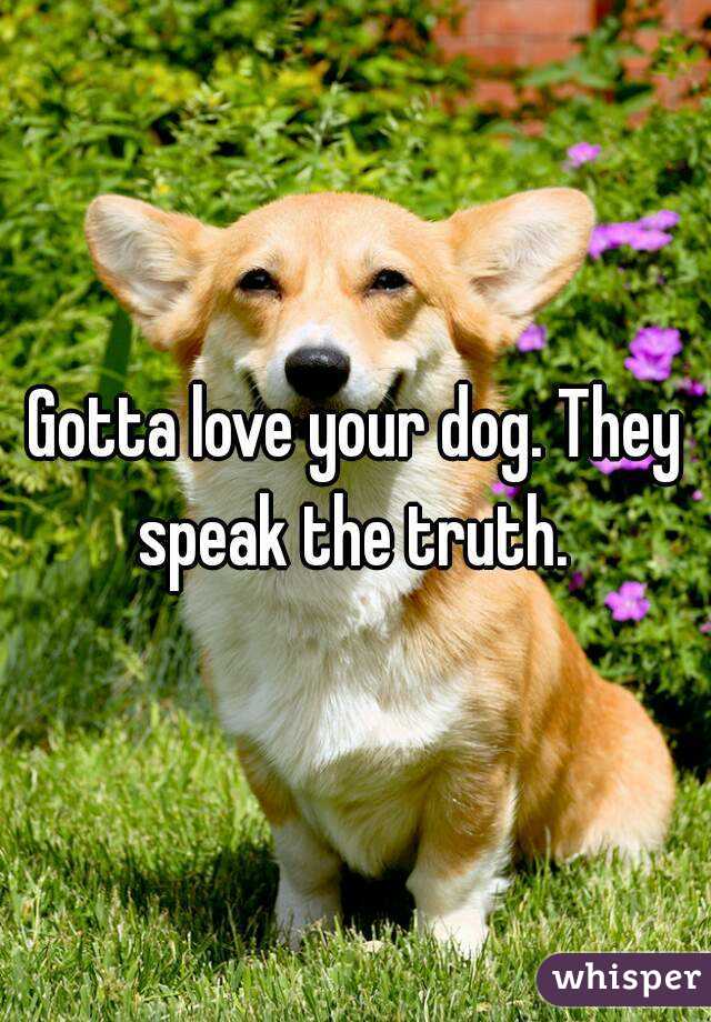 Gotta love your dog. They speak the truth. 