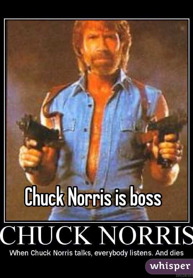 Chuck Norris is boss 