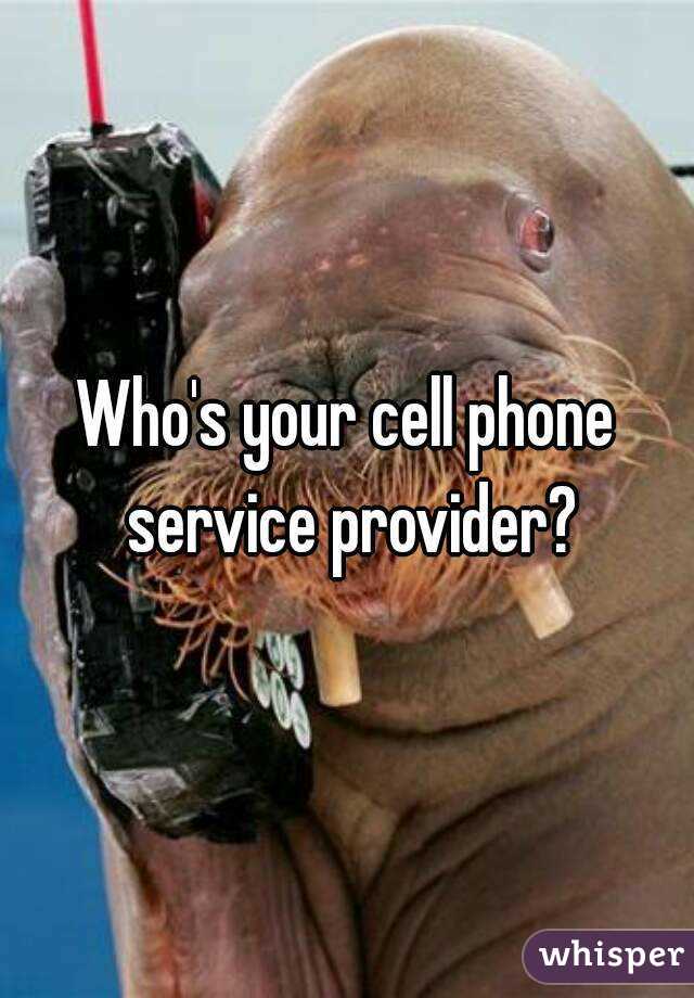 Who's your cell phone service provider?