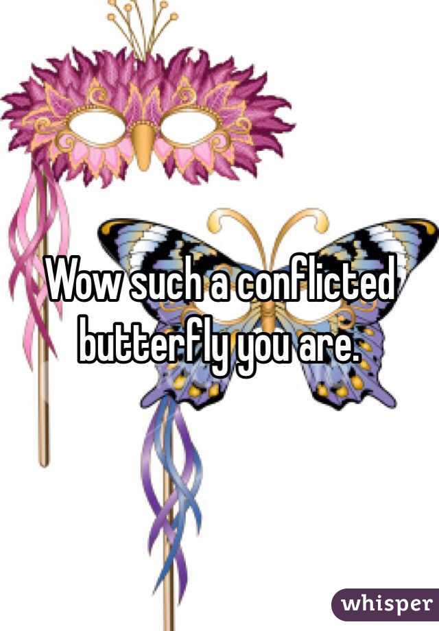 Wow such a conflicted butterfly you are. 