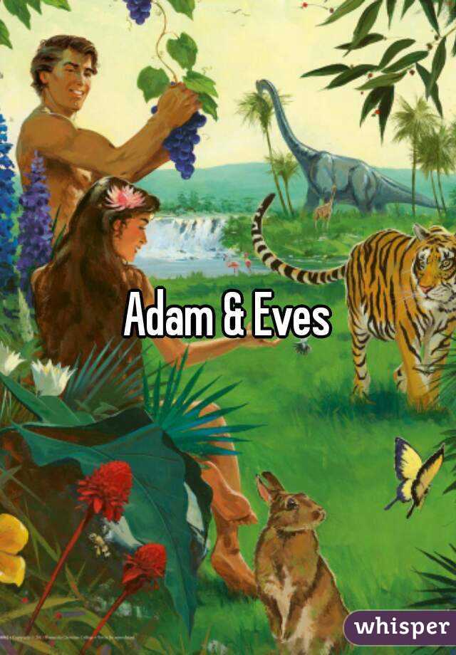Adam & Eves
