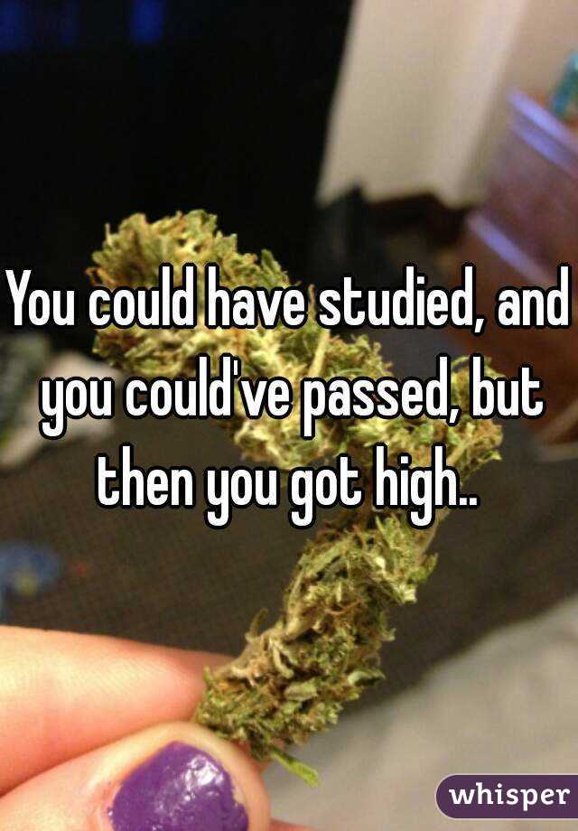 You could have studied, and you could've passed, but then you got high.. 