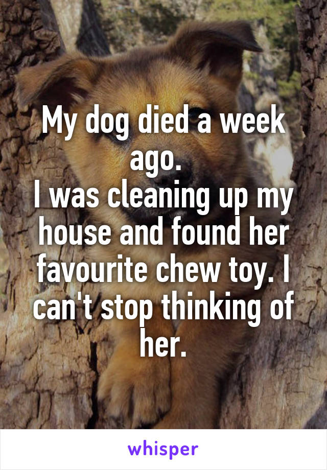 My dog died a week ago.  
I was cleaning up my house and found her favourite chew toy. I can't stop thinking of her.