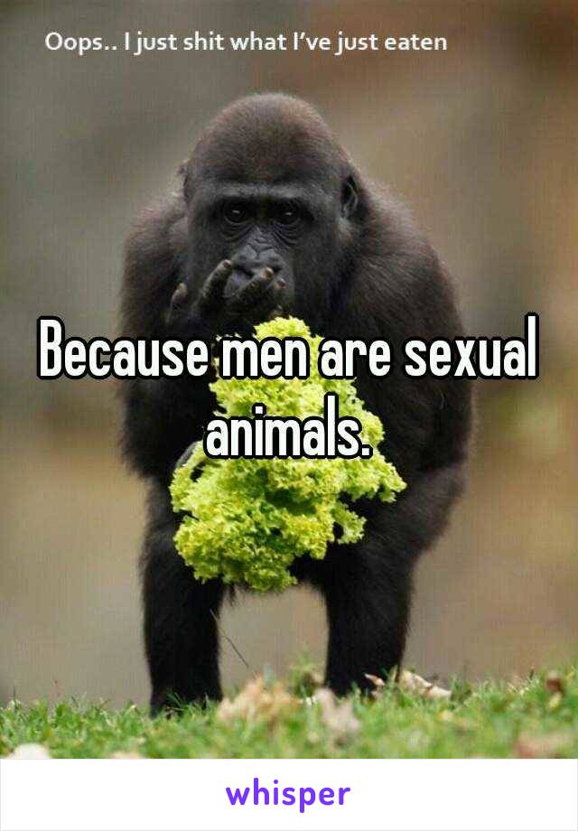 Because men are sexual animals. 