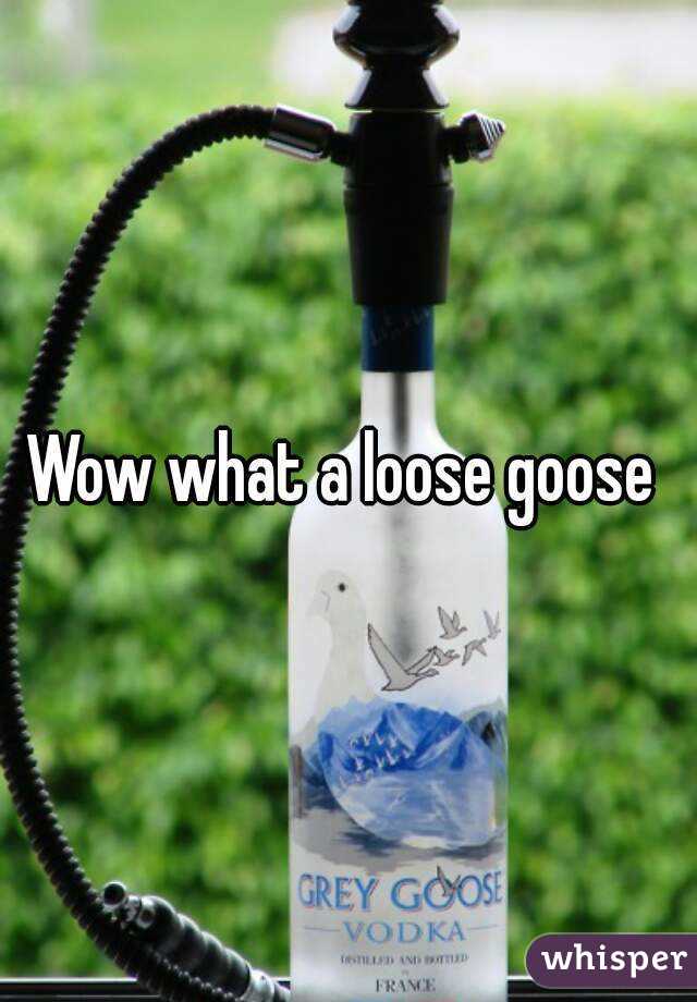 Wow what a loose goose 