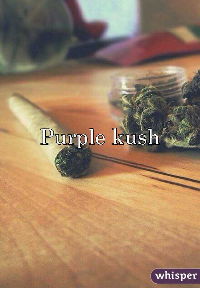 Purple kush
