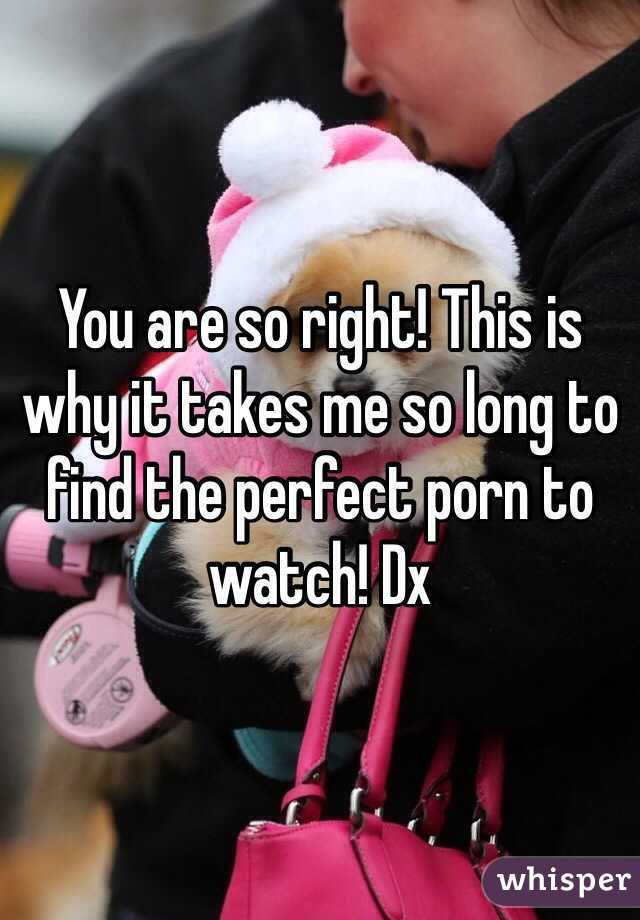 You are so right! This is why it takes me so long to find the perfect porn to watch! Dx