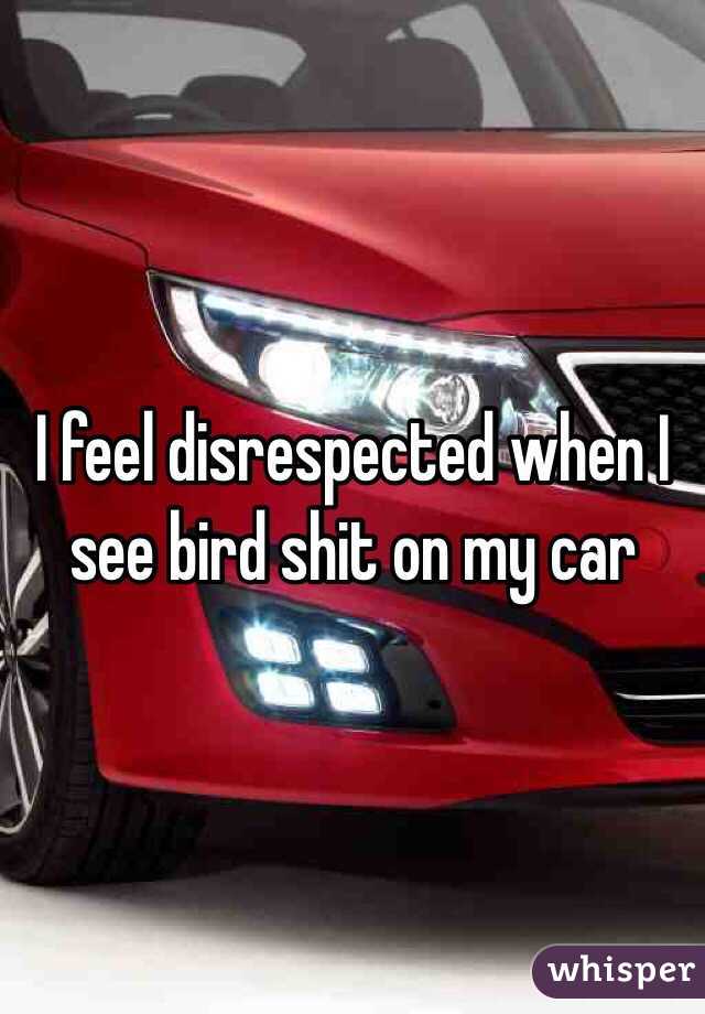 I feel disrespected when I see bird shit on my car