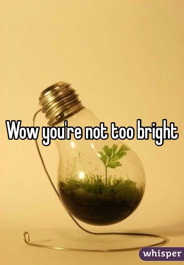 Wow you're not too bright