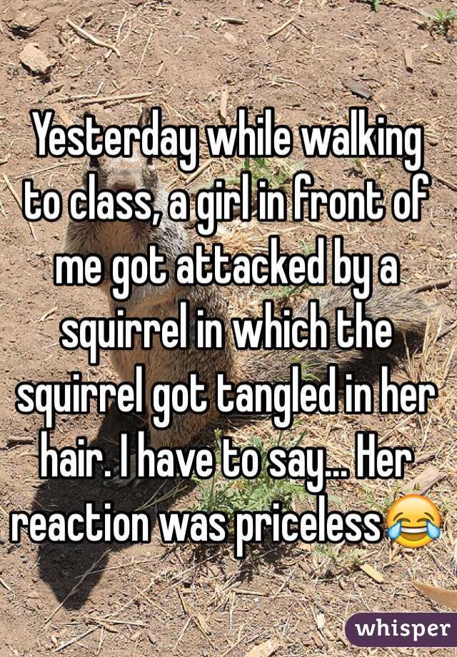 Yesterday while walking to class, a girl in front of me got attacked by a squirrel in which the squirrel got tangled in her hair. I have to say... Her reaction was priceless😂