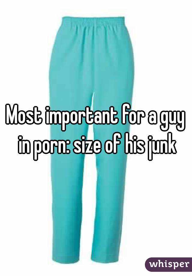 Most important for a guy in porn: size of his junk