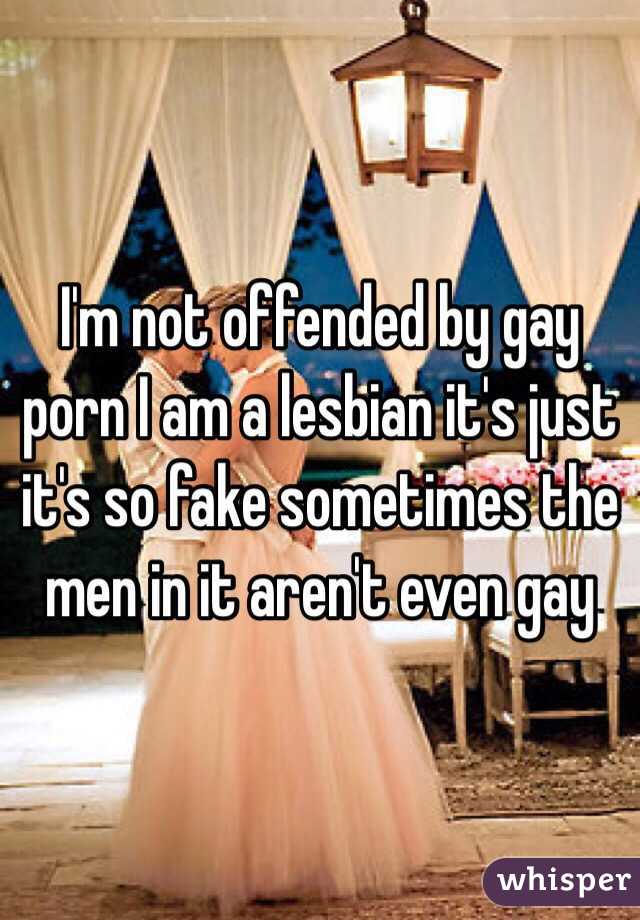 I'm not offended by gay porn I am a lesbian it's just it's so fake sometimes the men in it aren't even gay 