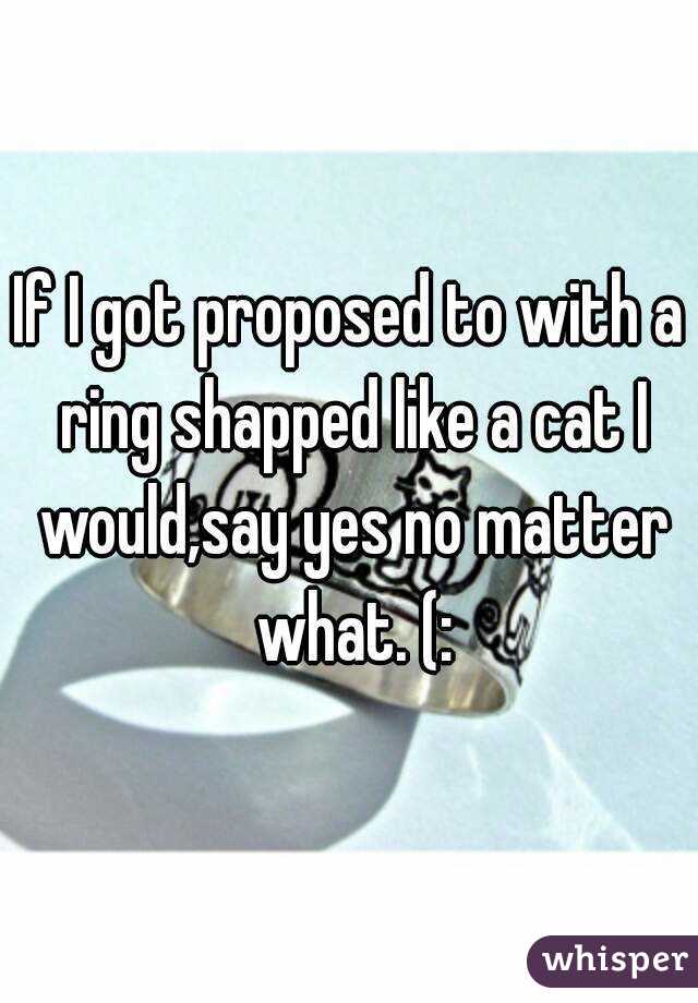 If I got proposed to with a ring shapped like a cat I would,say yes no matter what. (: