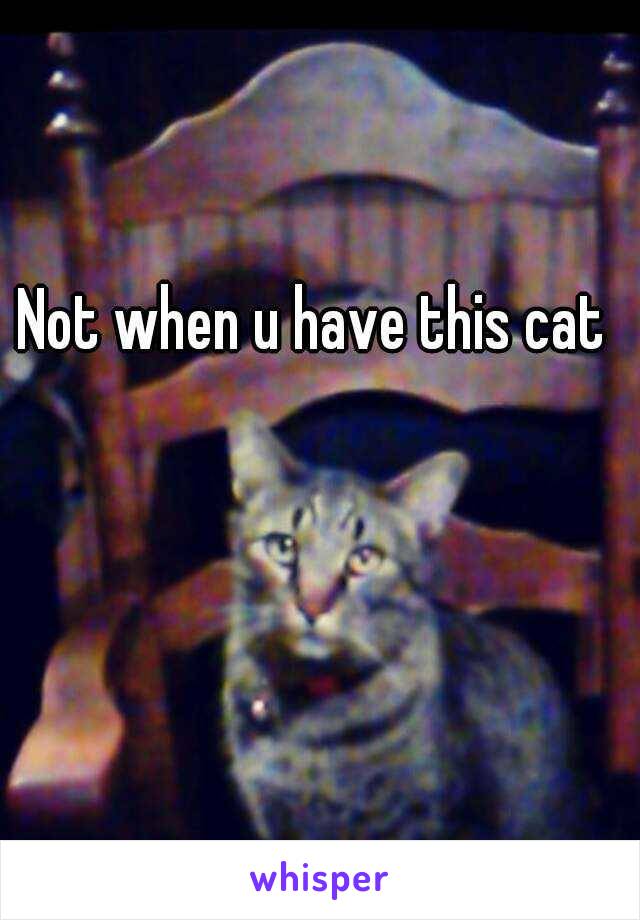 Not when u have this cat 