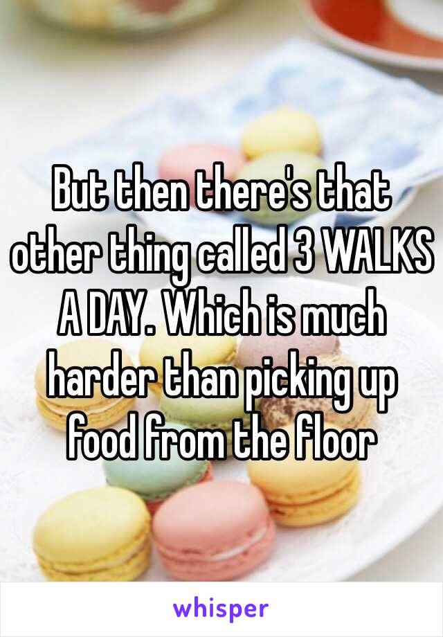 But then there's that other thing called 3 WALKS A DAY. Which is much harder than picking up food from the floor