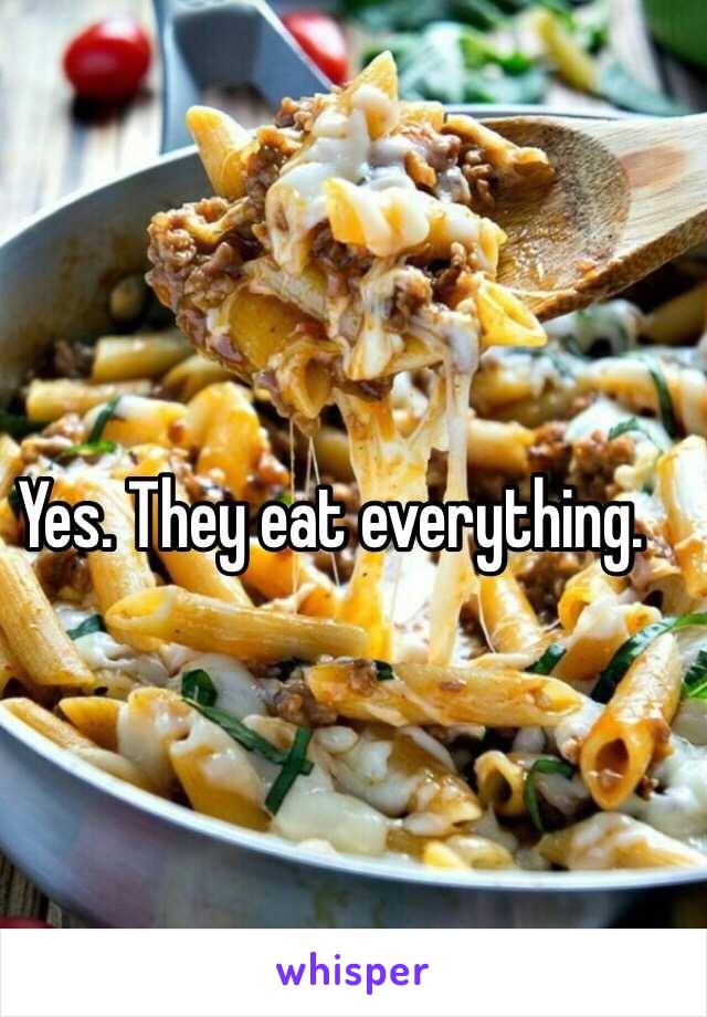 Yes. They eat everything. 