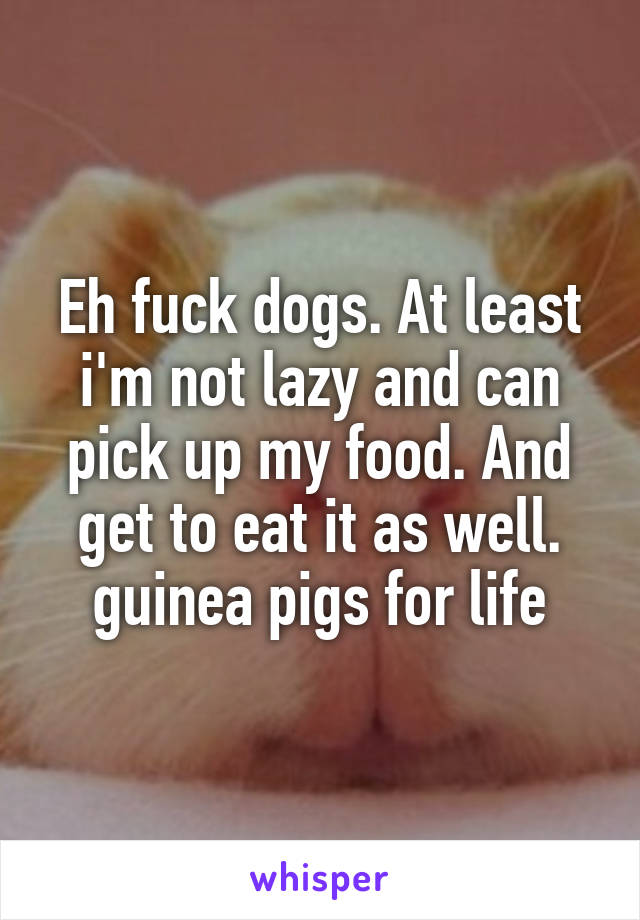 Eh fuck dogs. At least i'm not lazy and can pick up my food. And get to eat it as well. guinea pigs for life