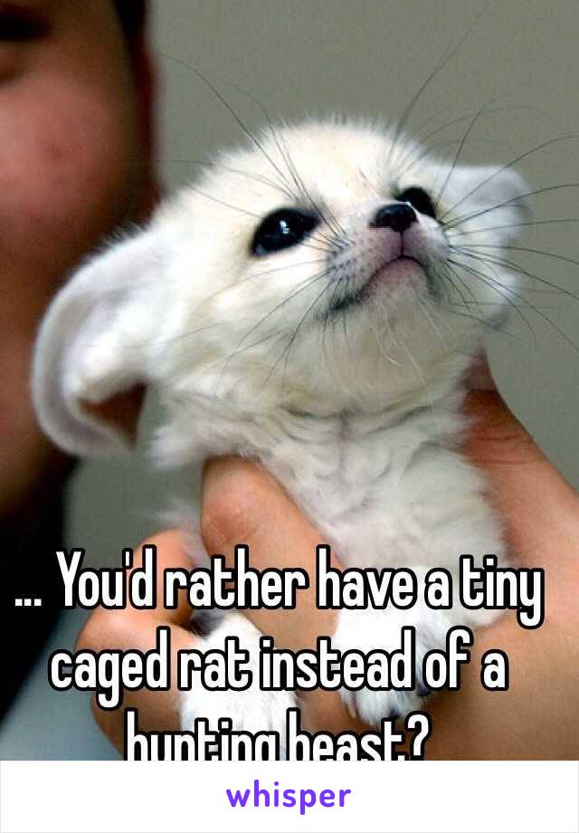 ... You'd rather have a tiny caged rat instead of a hunting beast?