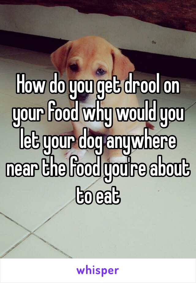 How do you get drool on your food why would you let your dog anywhere near the food you're about to eat