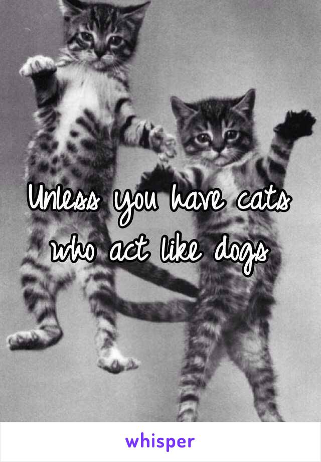 Unless you have cats who act like dogs 