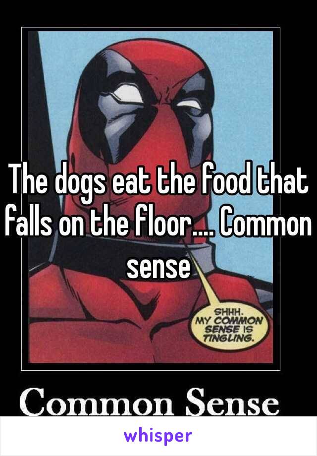 The dogs eat the food that falls on the floor.... Common sense 