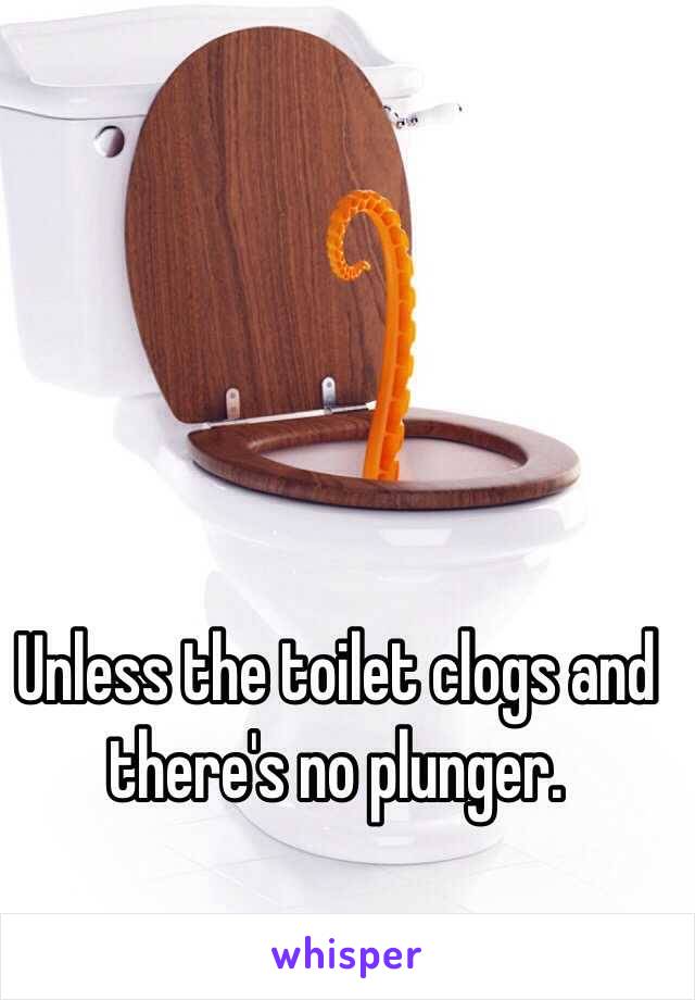 Unless the toilet clogs and there's no plunger. 