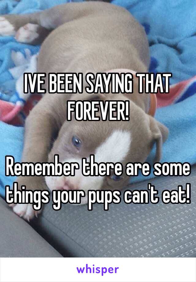 IVE BEEN SAYING THAT FOREVER! 

Remember there are some things your pups can't eat!