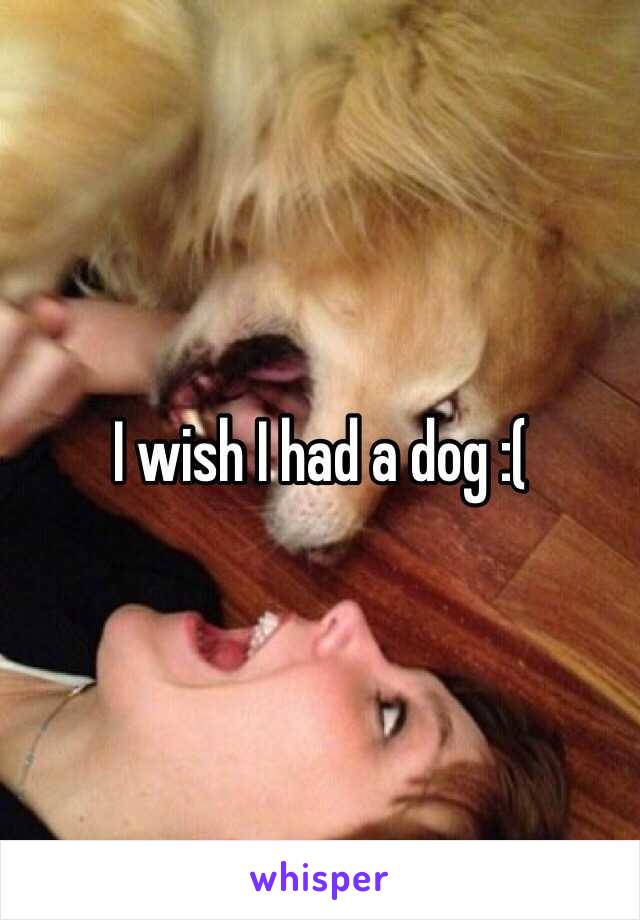 I wish I had a dog :(