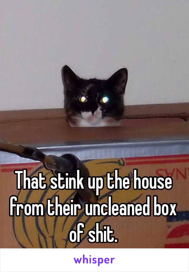 That stink up the house from their uncleaned box of shit. 