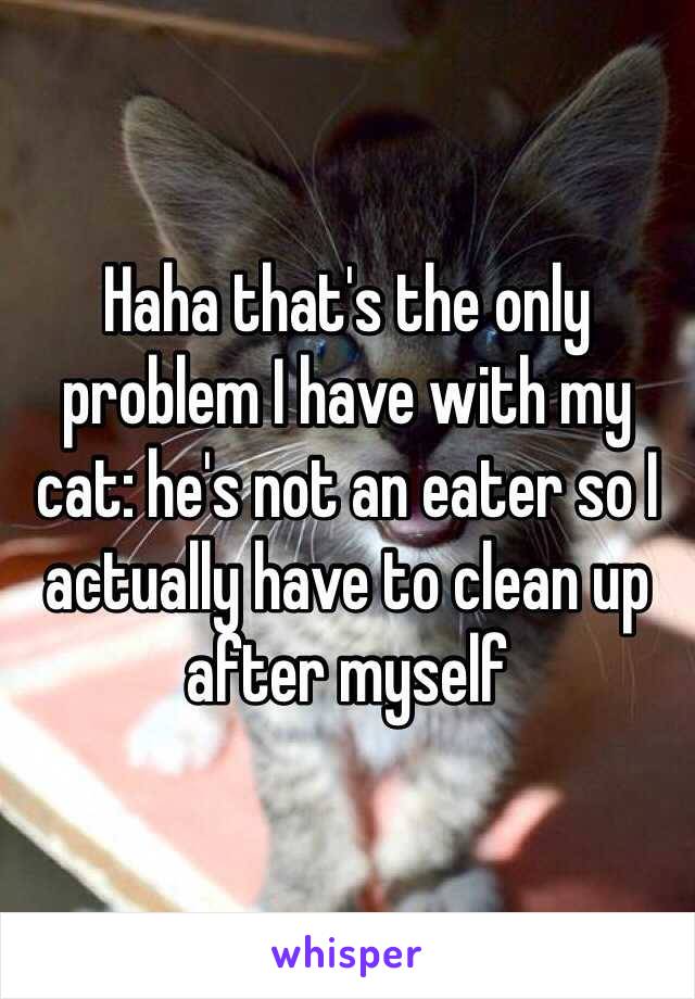 Haha that's the only problem I have with my cat: he's not an eater so I actually have to clean up after myself