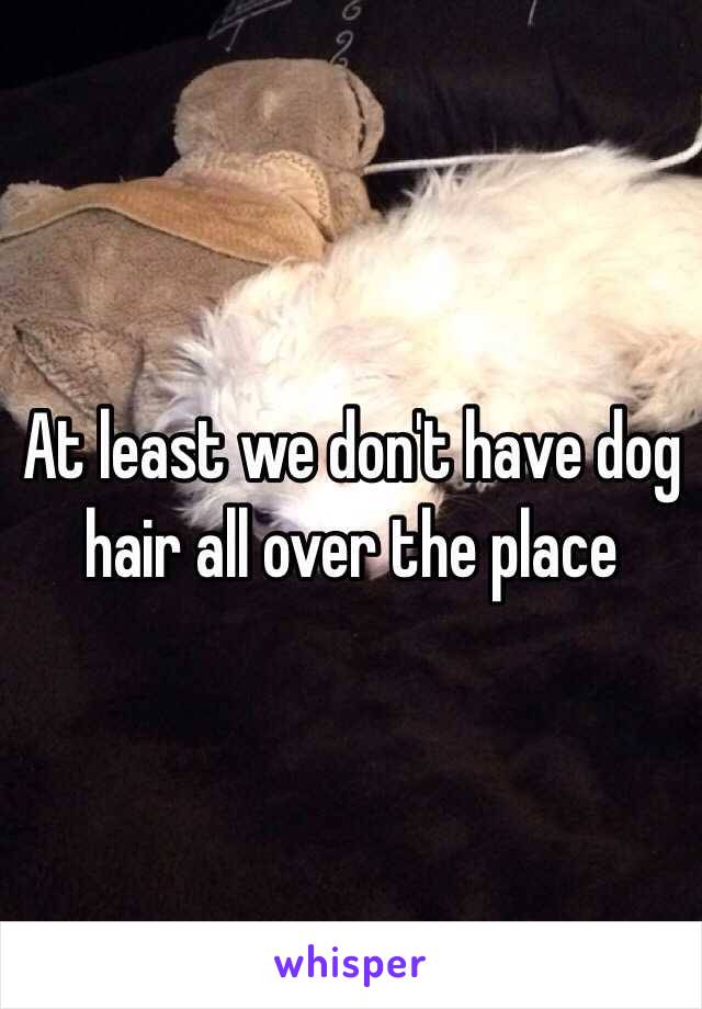 At least we don't have dog hair all over the place