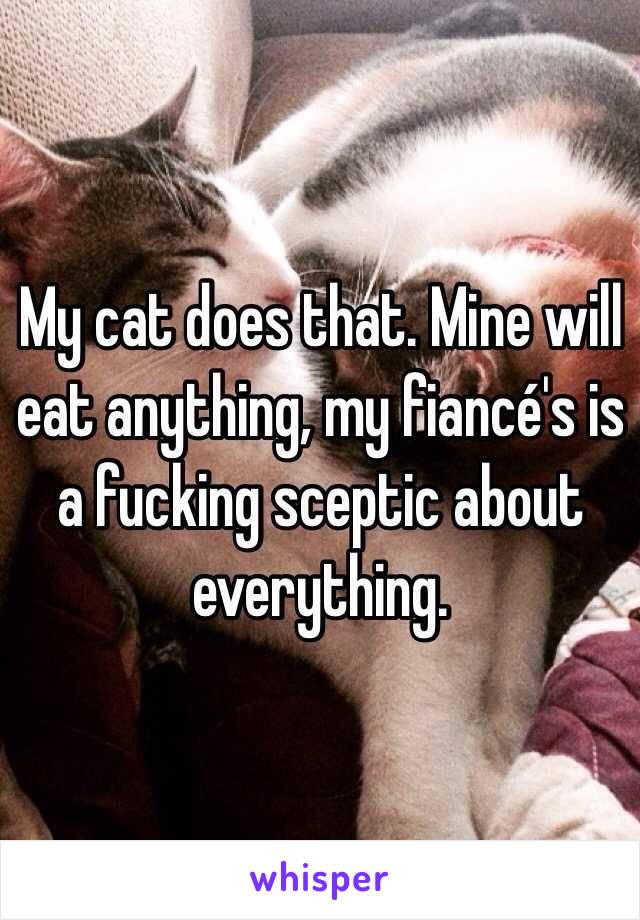 My cat does that. Mine will eat anything, my fiancé's is a fucking sceptic about everything.