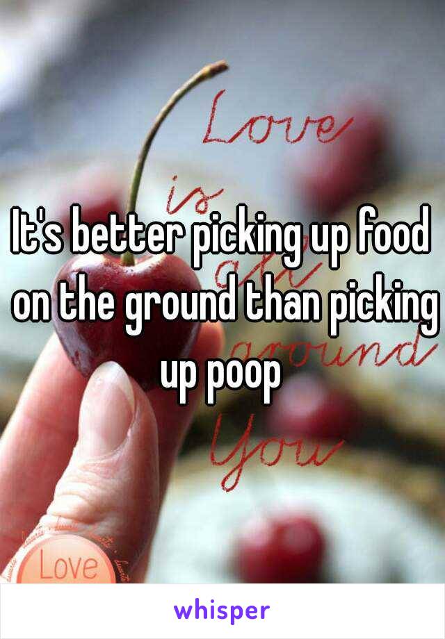 It's better picking up food on the ground than picking up poop 