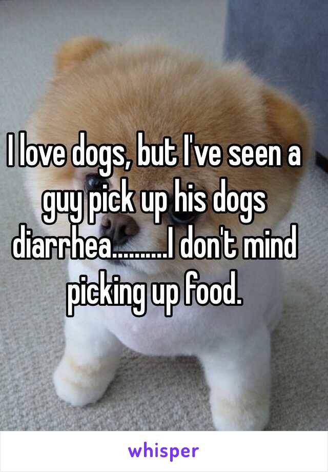 I love dogs, but I've seen a guy pick up his dogs diarrhea..........I don't mind picking up food. 