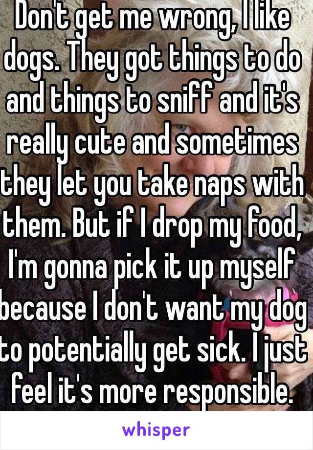 Don't get me wrong, I like dogs. They got things to do and things to sniff and it's really cute and sometimes they let you take naps with them. But if I drop my food, I'm gonna pick it up myself because I don't want my dog to potentially get sick. I just feel it's more responsible.