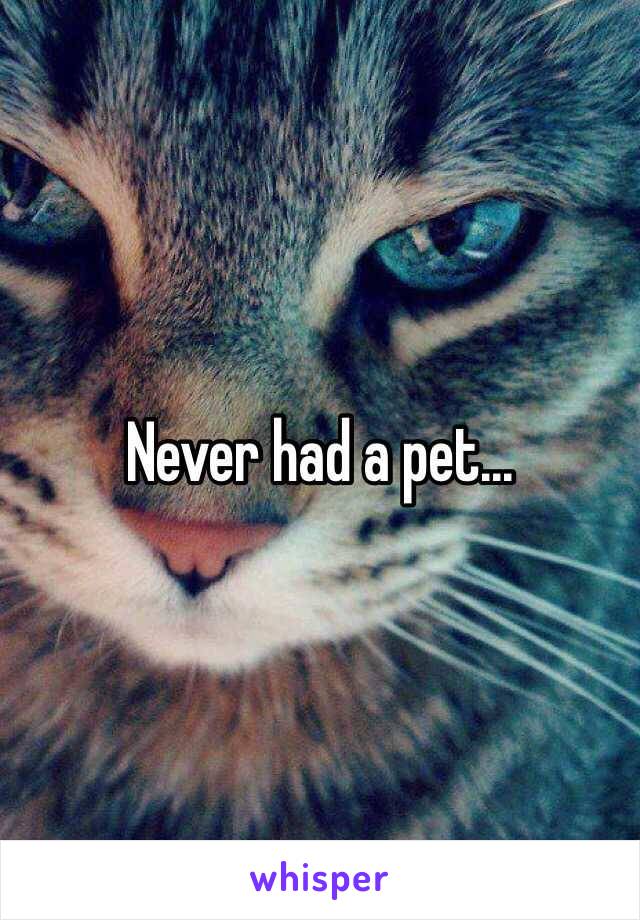 Never had a pet...