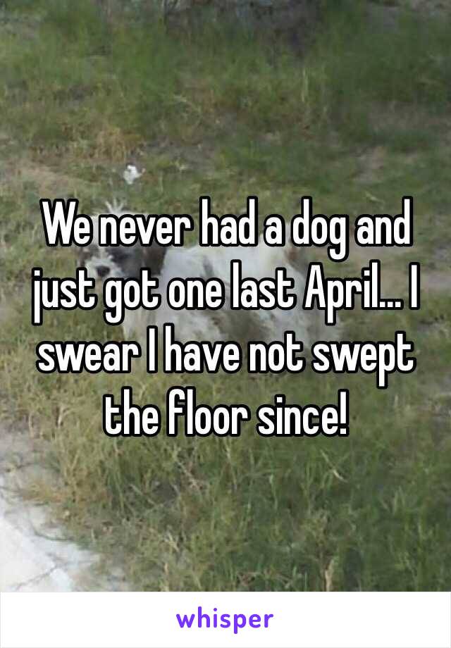 We never had a dog and just got one last April... I swear I have not swept the floor since!