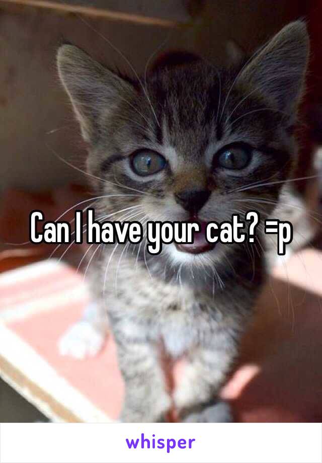 Can I have your cat? =p