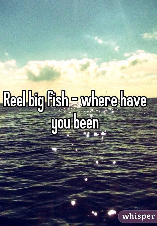 Reel big fish - where have you been
