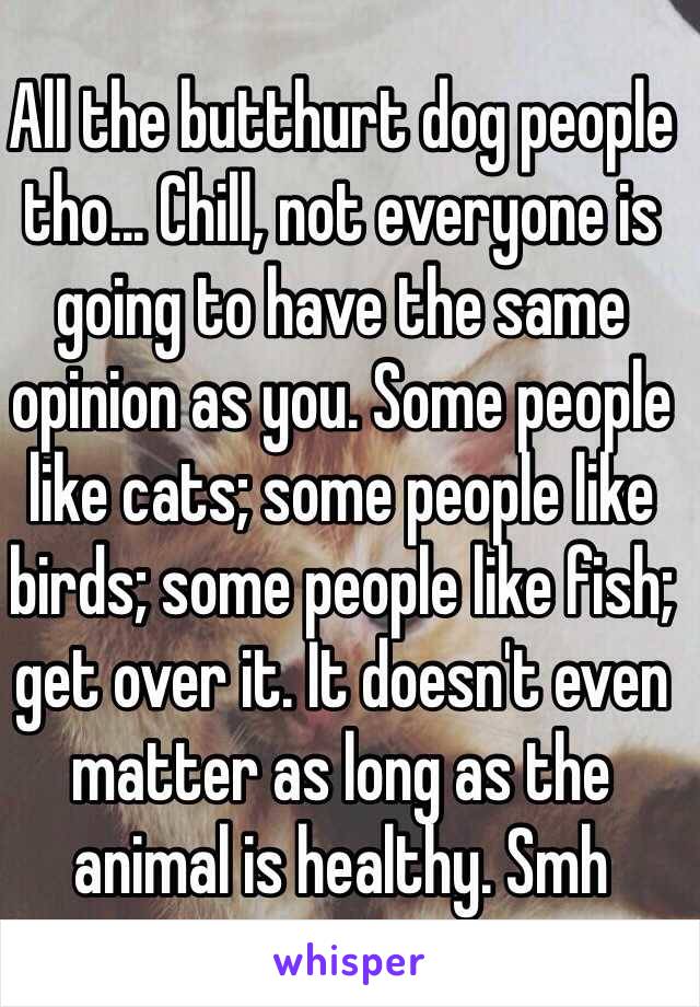 All the butthurt dog people tho... Chill, not everyone is going to have the same opinion as you. Some people like cats; some people like birds; some people like fish; get over it. It doesn't even matter as long as the animal is healthy. Smh