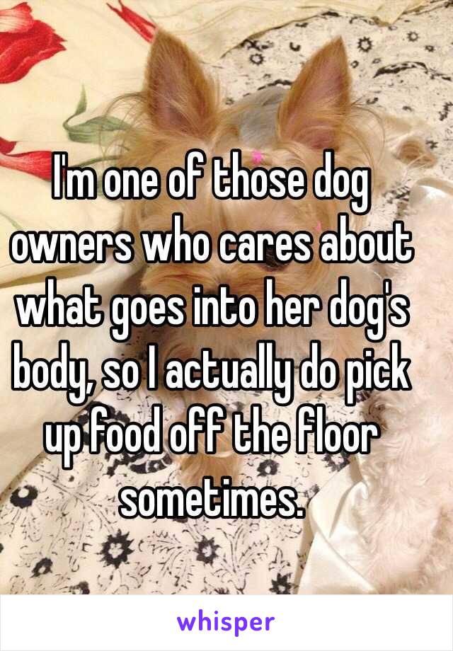 I'm one of those dog owners who cares about what goes into her dog's body, so I actually do pick up food off the floor sometimes.